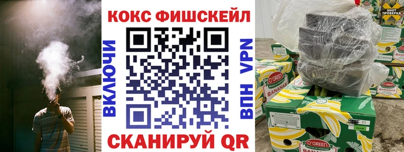 Cocaine Fish Scale  blacksprut зеркало  Ульяновск  дарнет шоп 